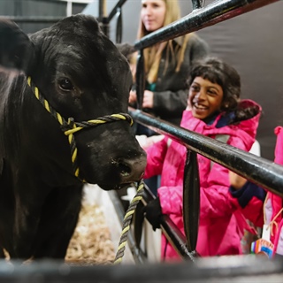 Agribition Agri-Ed Program