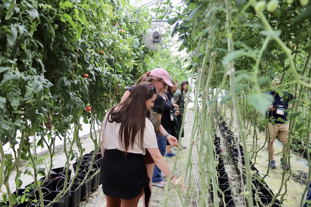 All-Inclusive Teacher PD