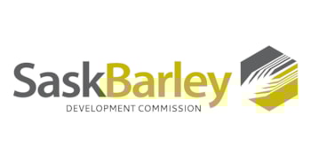 Sask Barley