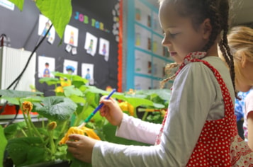 A student gathers around the classroom garden to learn about where food comes from.