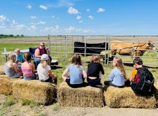 Students gather around a cow to learn about agriculture and where their food comes from.
