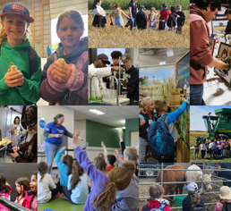 A collection of photos of students engaging in agricultural learning experiences.